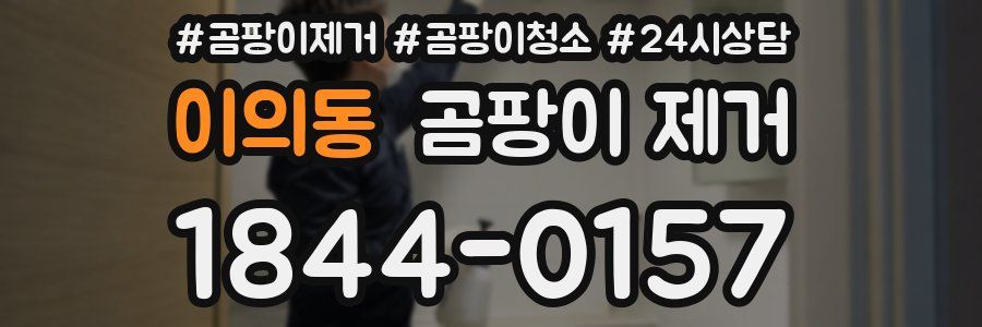 이의동 곰팡이 제거