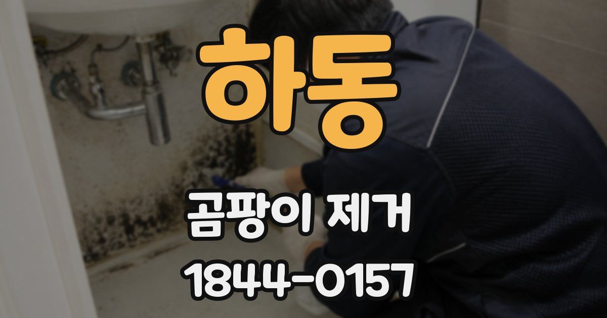 하동 곰팡이 제거