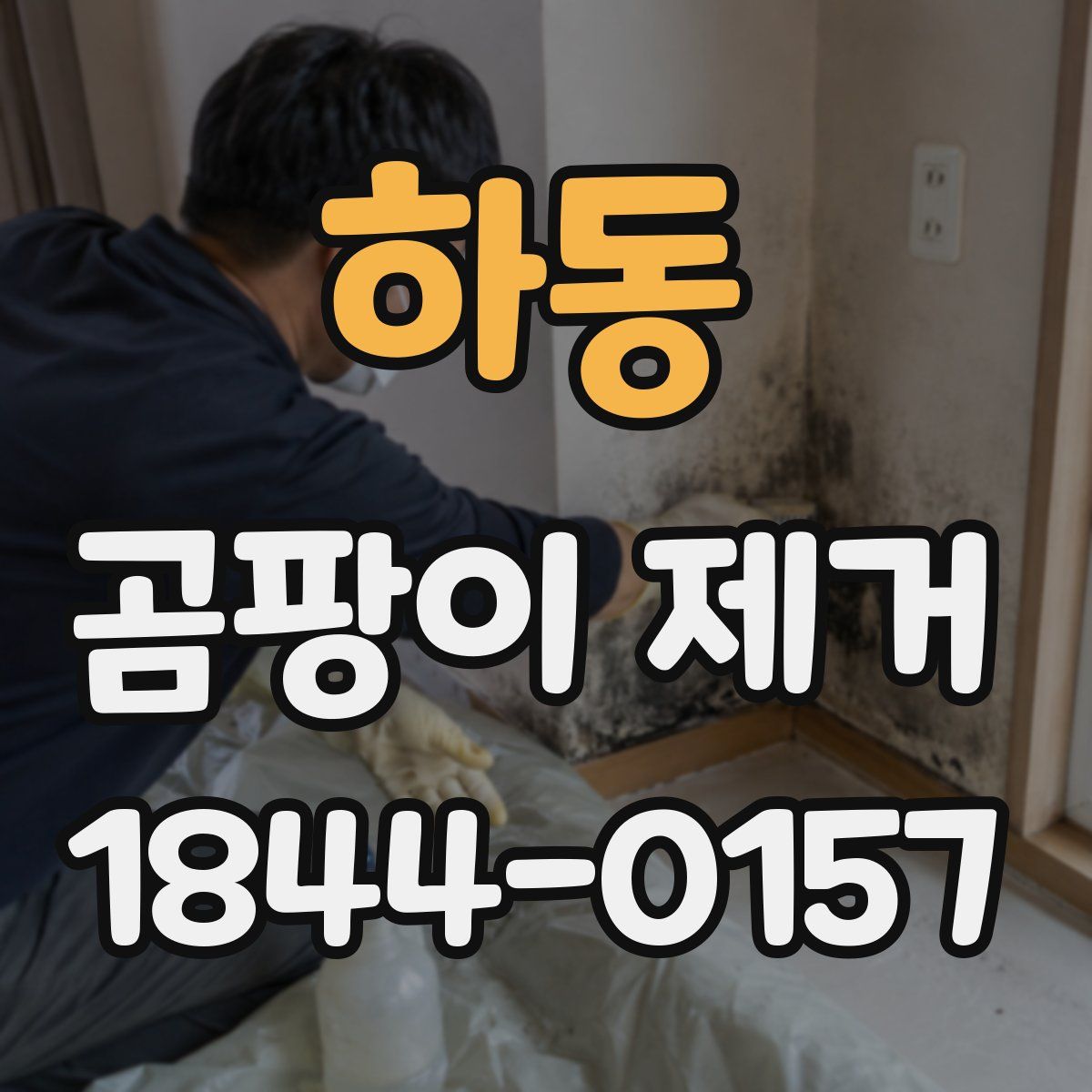 하동 곰팡이 제거