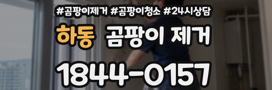 하동 곰팡이 제거