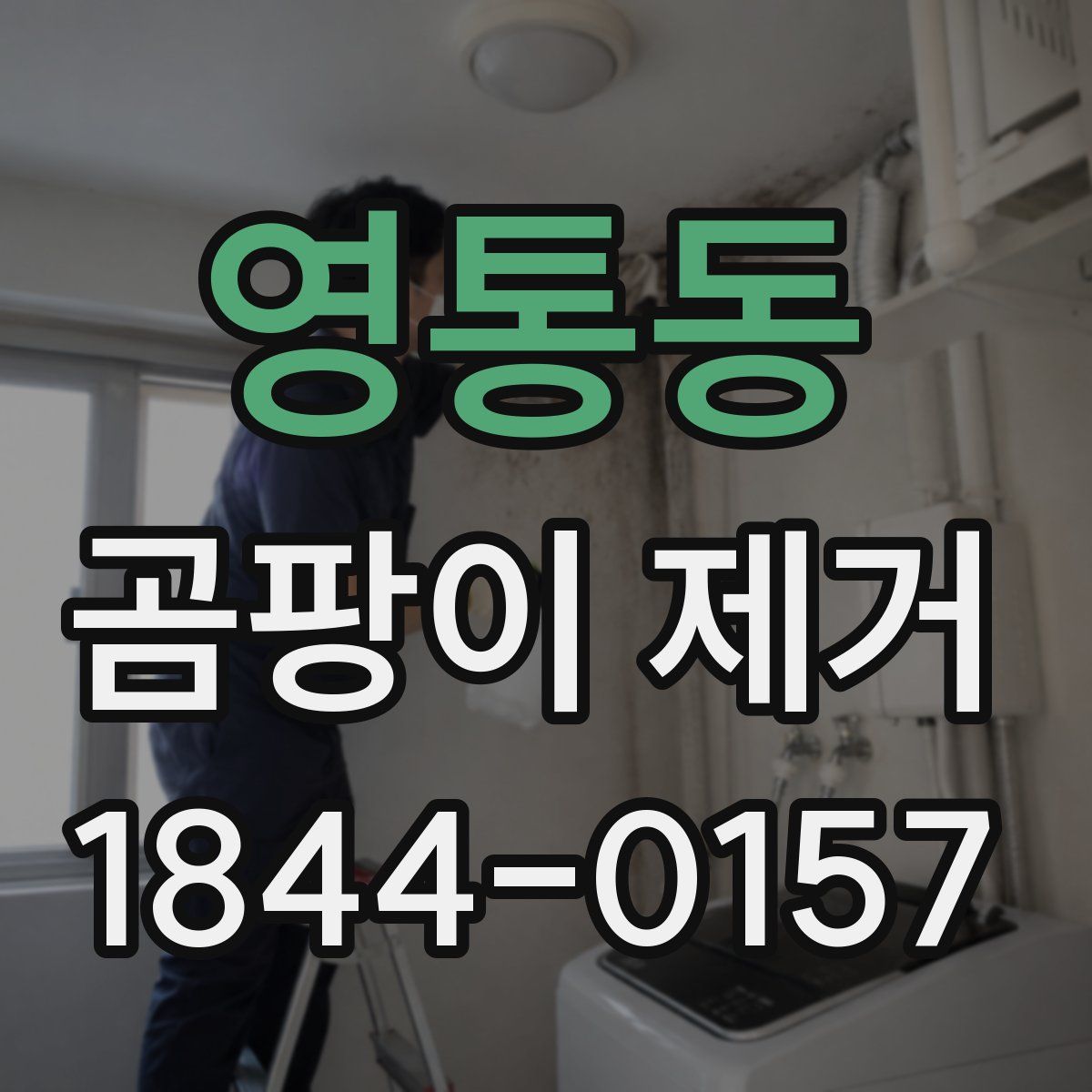 영통동 곰팡이 제거