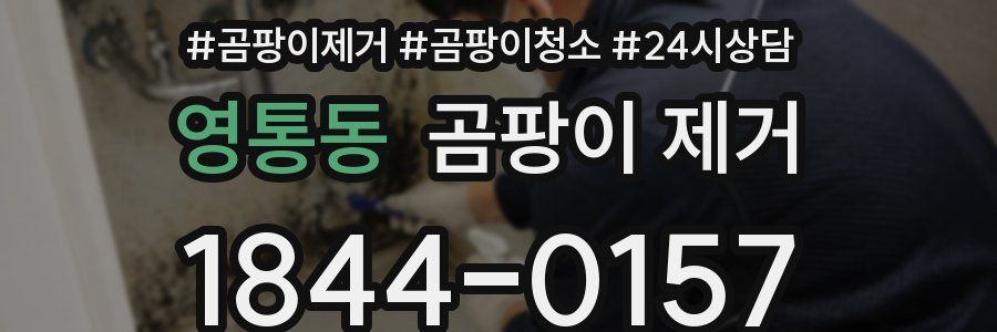 영통동 곰팡이 제거