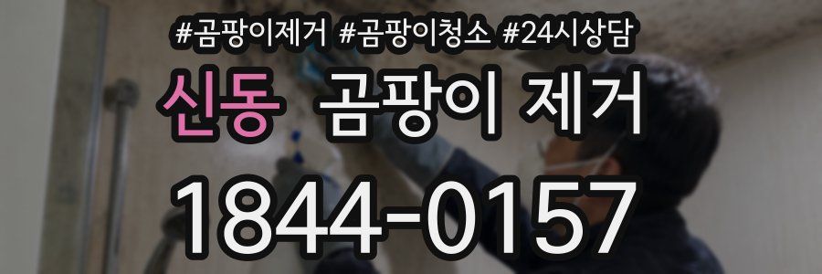 신동 곰팡이 제거