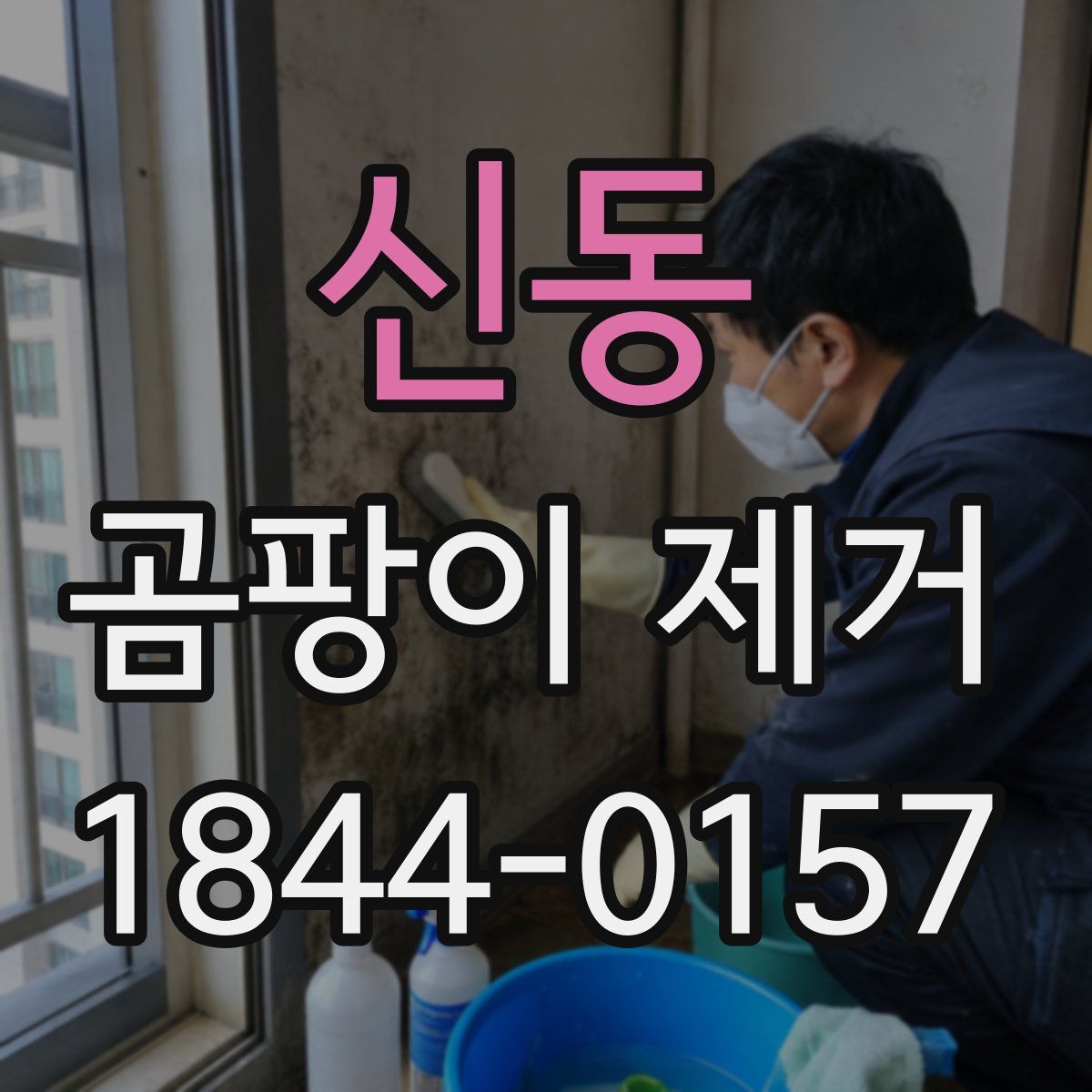 신동 곰팡이 제거