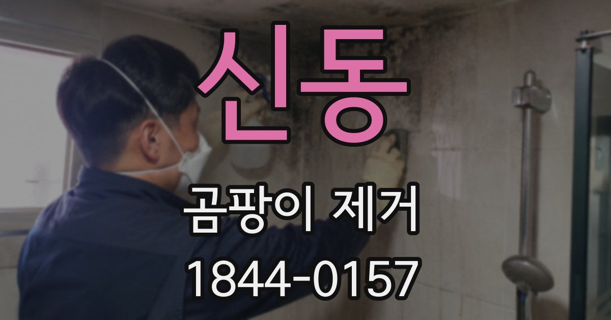 신동 곰팡이 제거