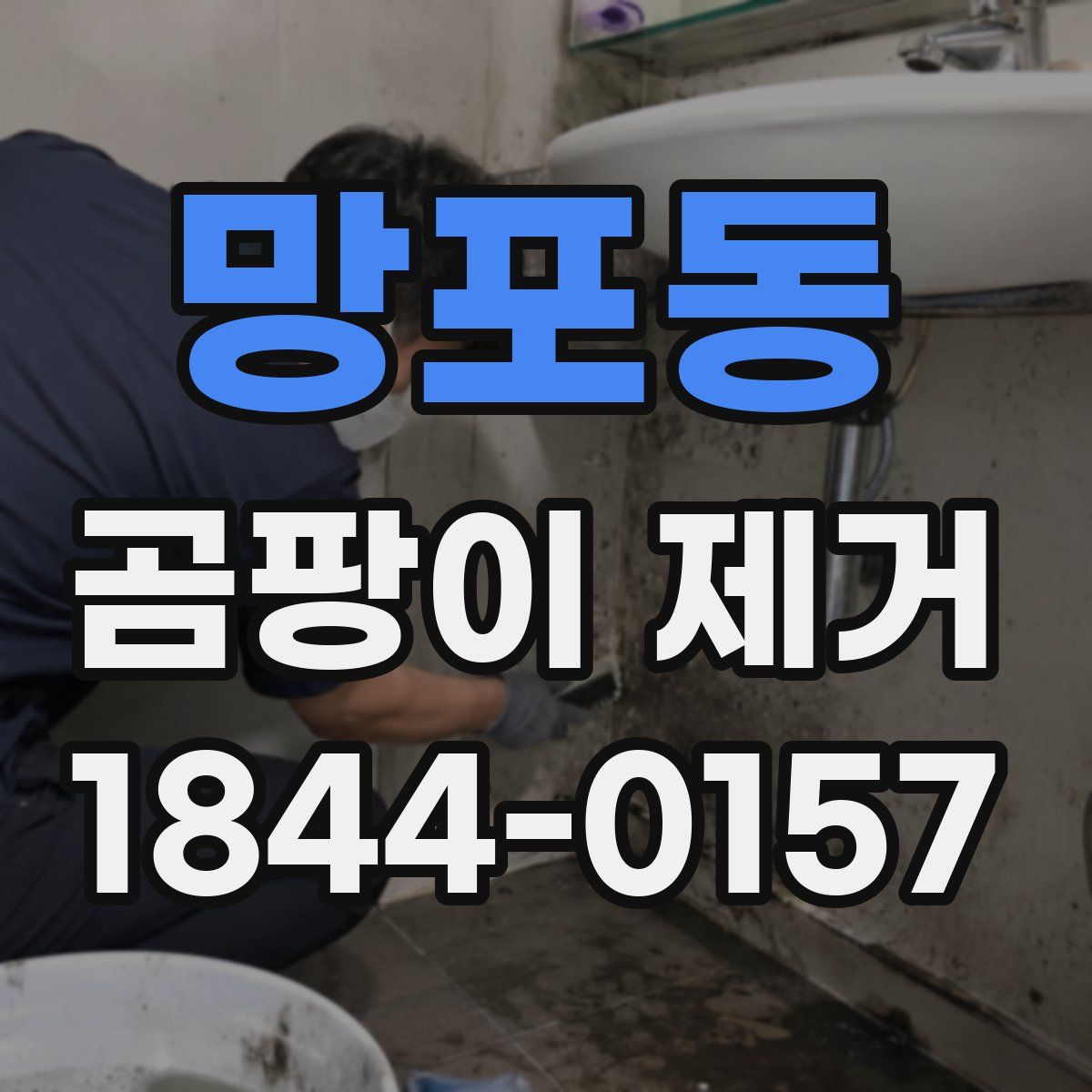 망포동 곰팡이 제거
