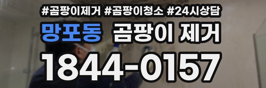 망포동 곰팡이 제거