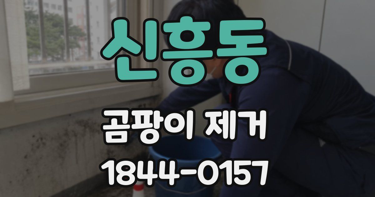 신흥동 곰팡이 제거