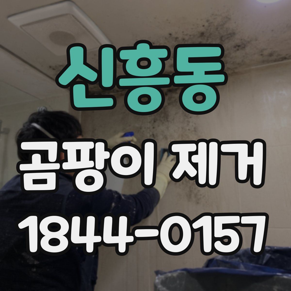 신흥동 곰팡이 제거