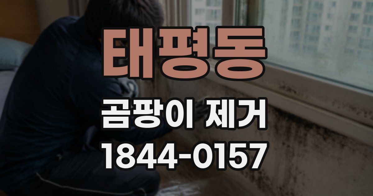 태평동 곰팡이 제거