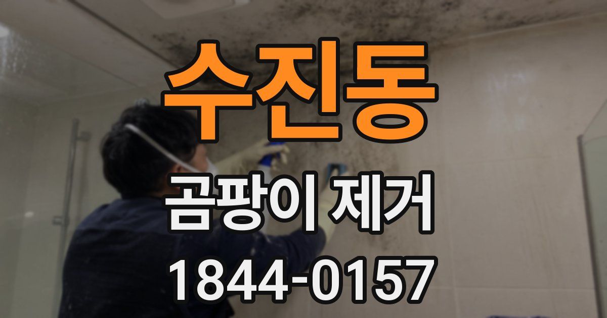 수진동 곰팡이 제거