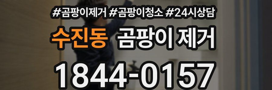 수진동 곰팡이 제거