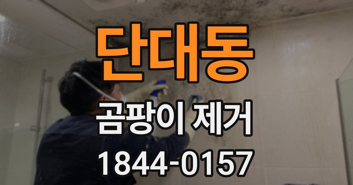 단대동 곰팡이 제거