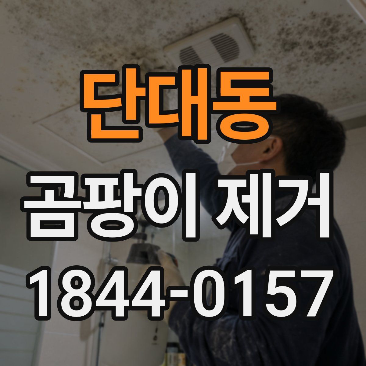 단대동 곰팡이 제거