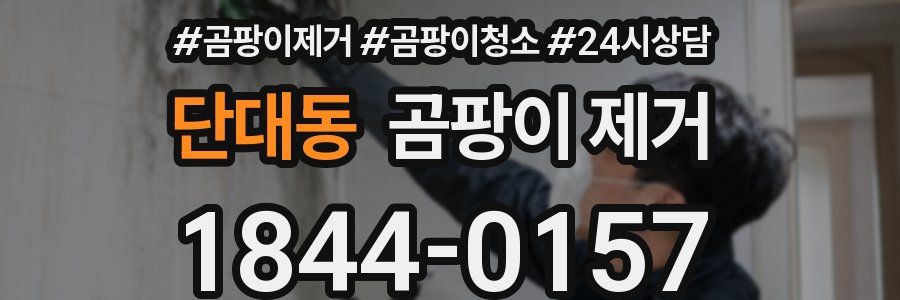 단대동 곰팡이 제거