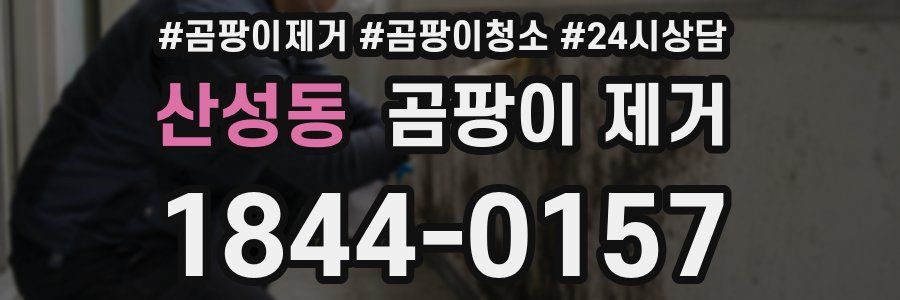 산성동 곰팡이 제거