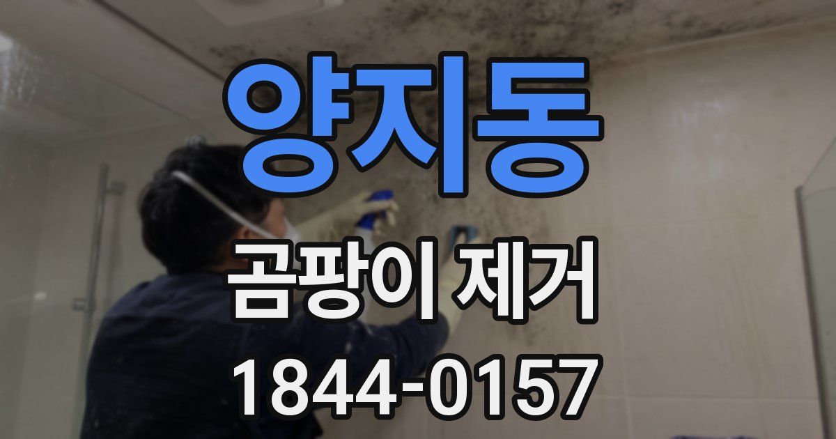 양지동 곰팡이 제거