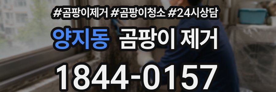 양지동 곰팡이 제거