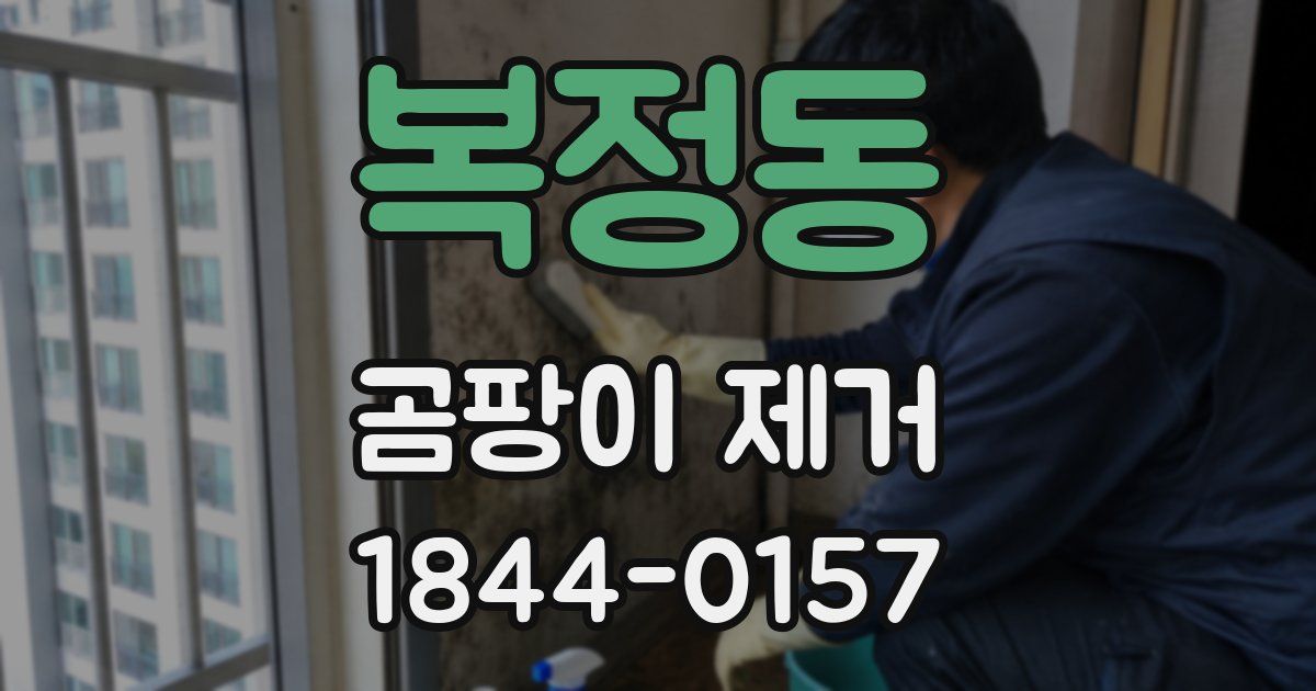 복정동 곰팡이 제거