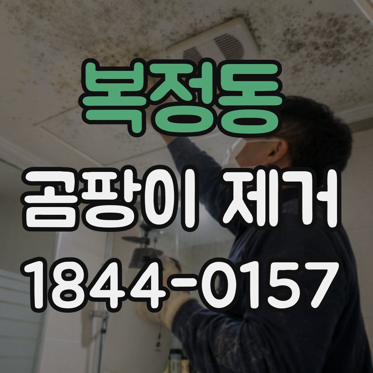 복정동 곰팡이 제거