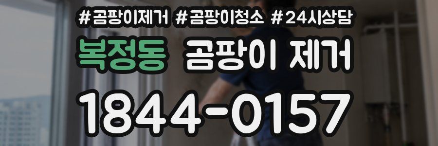 복정동 곰팡이 제거