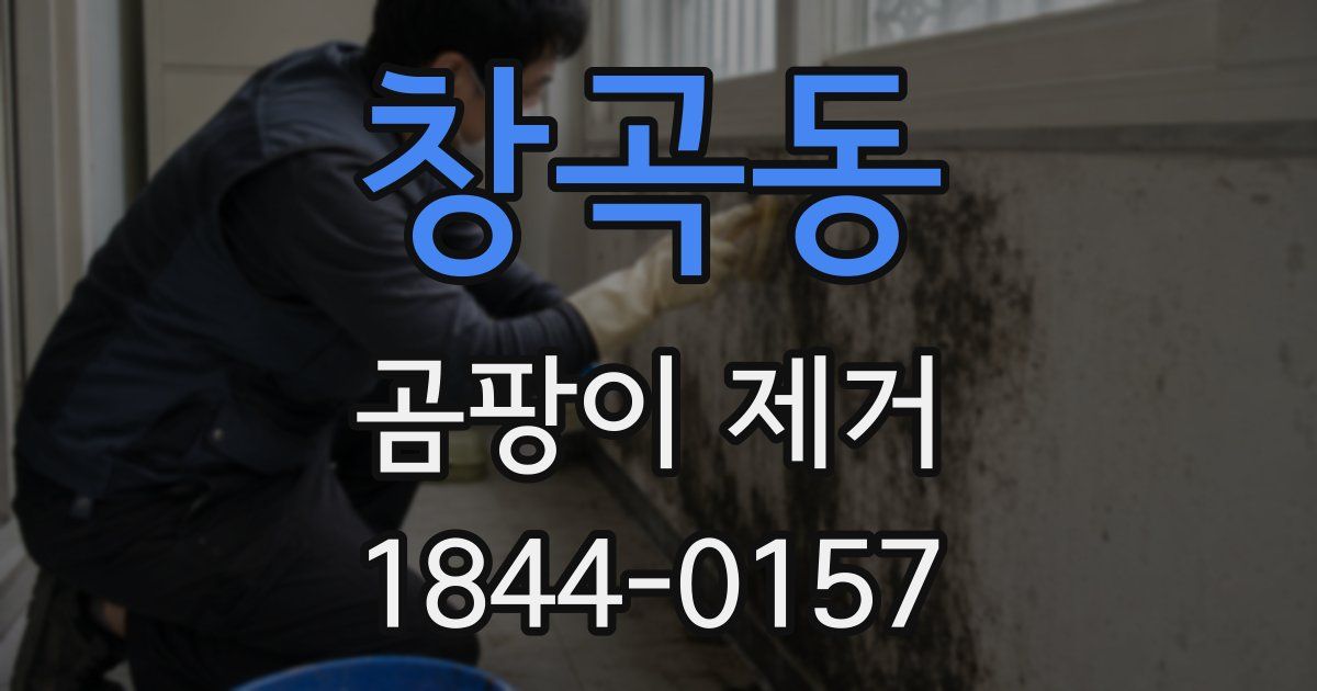 창곡동 곰팡이 제거