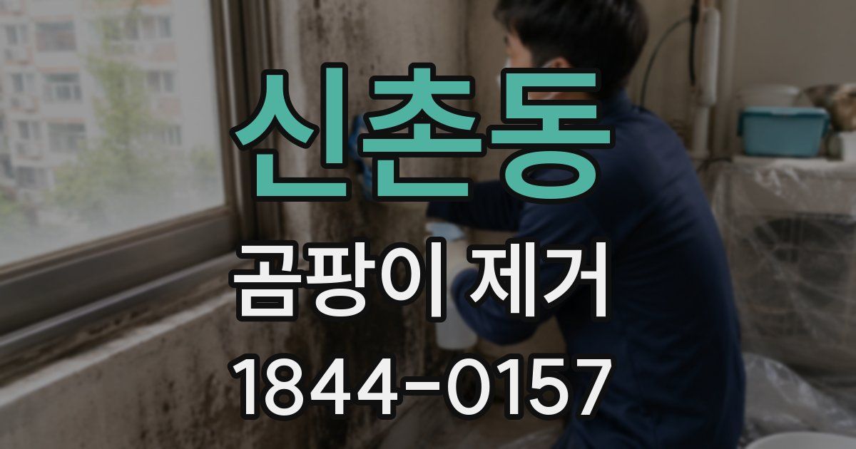신촌동 곰팡이 제거