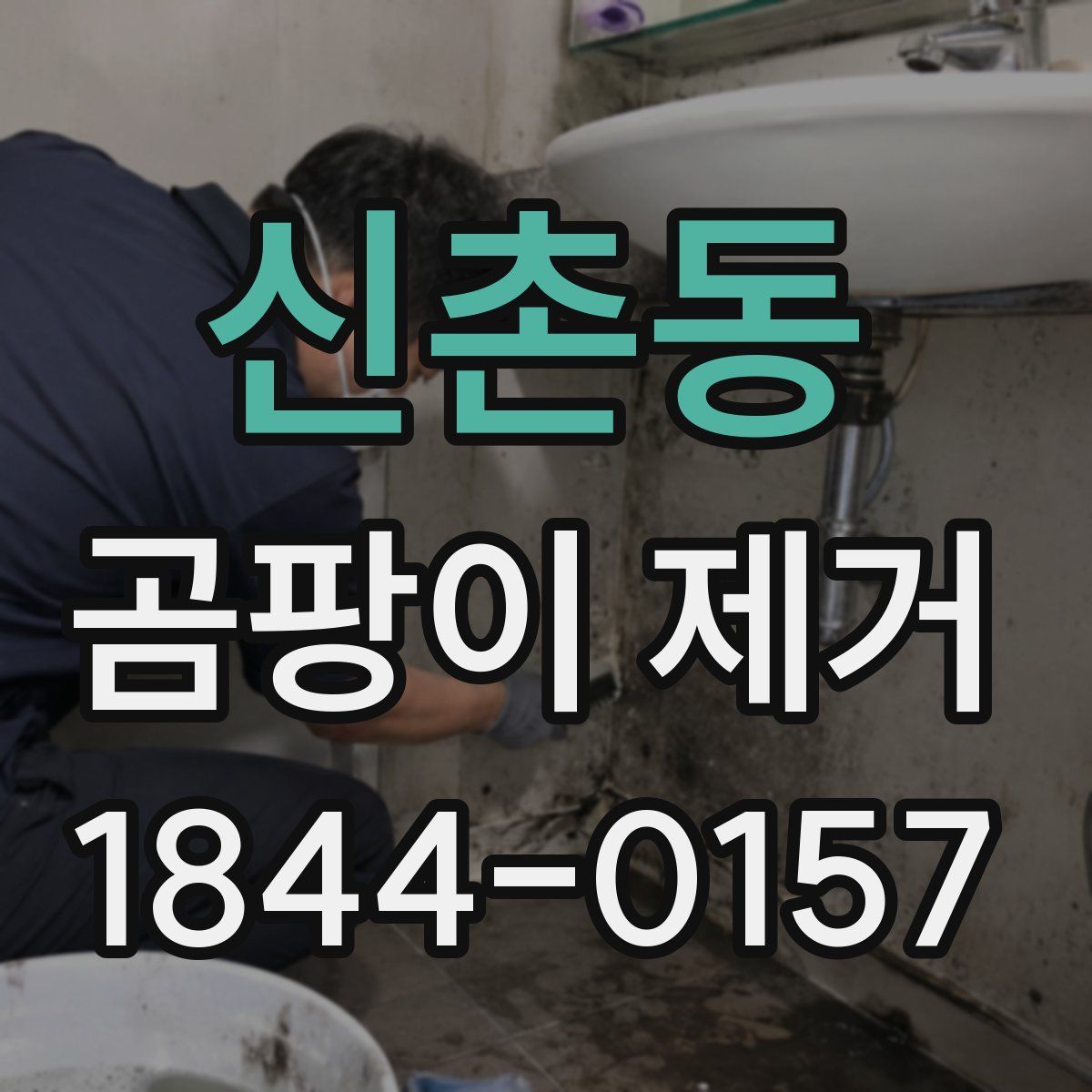 신촌동 곰팡이 제거