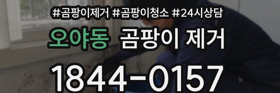 오야동 곰팡이 제거
