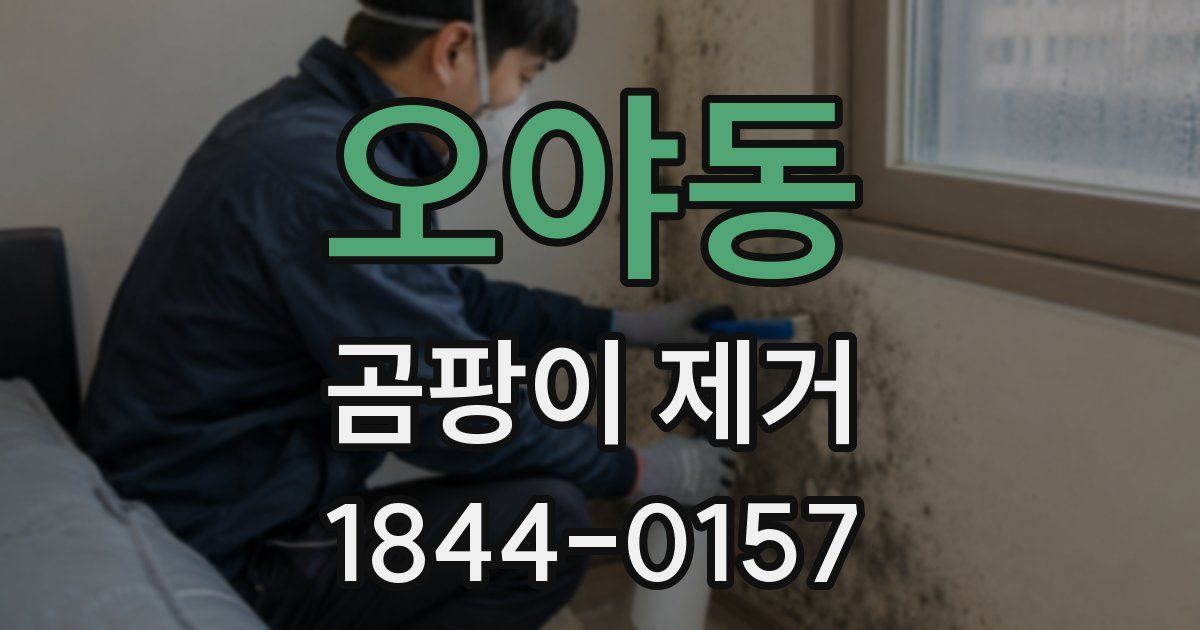 오야동 곰팡이 제거
