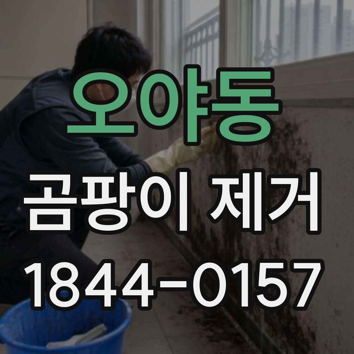 오야동 곰팡이 제거