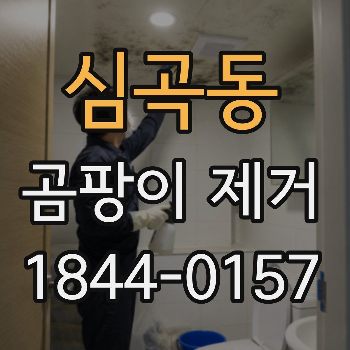 심곡동 곰팡이 제거