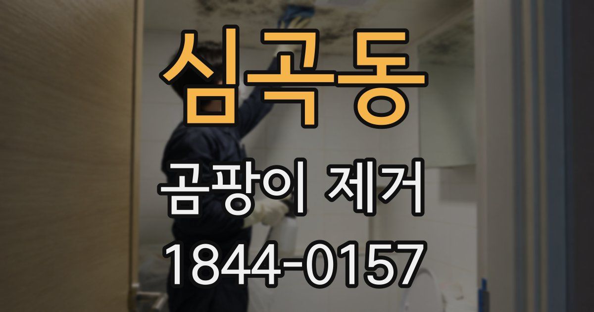 심곡동 곰팡이 제거