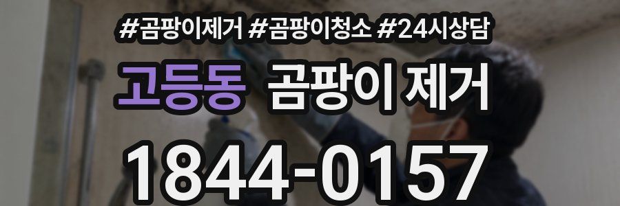 고등동 곰팡이 제거