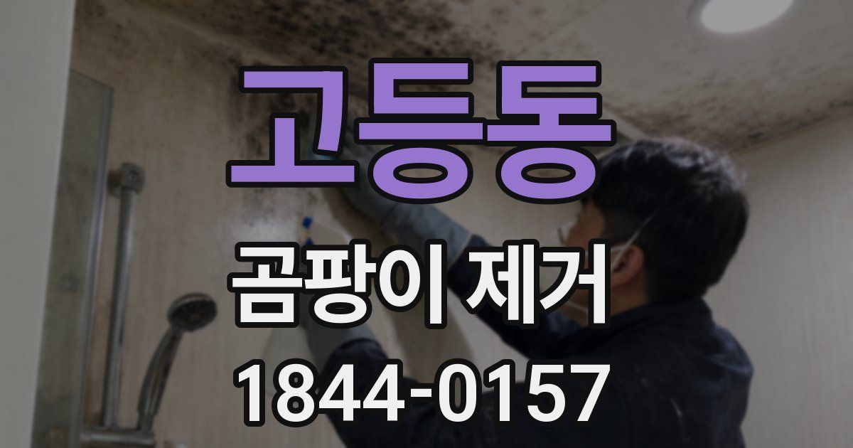 고등동 곰팡이 제거