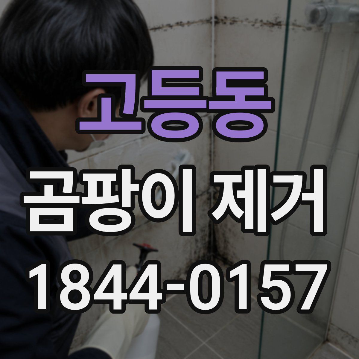 고등동 곰팡이 제거
