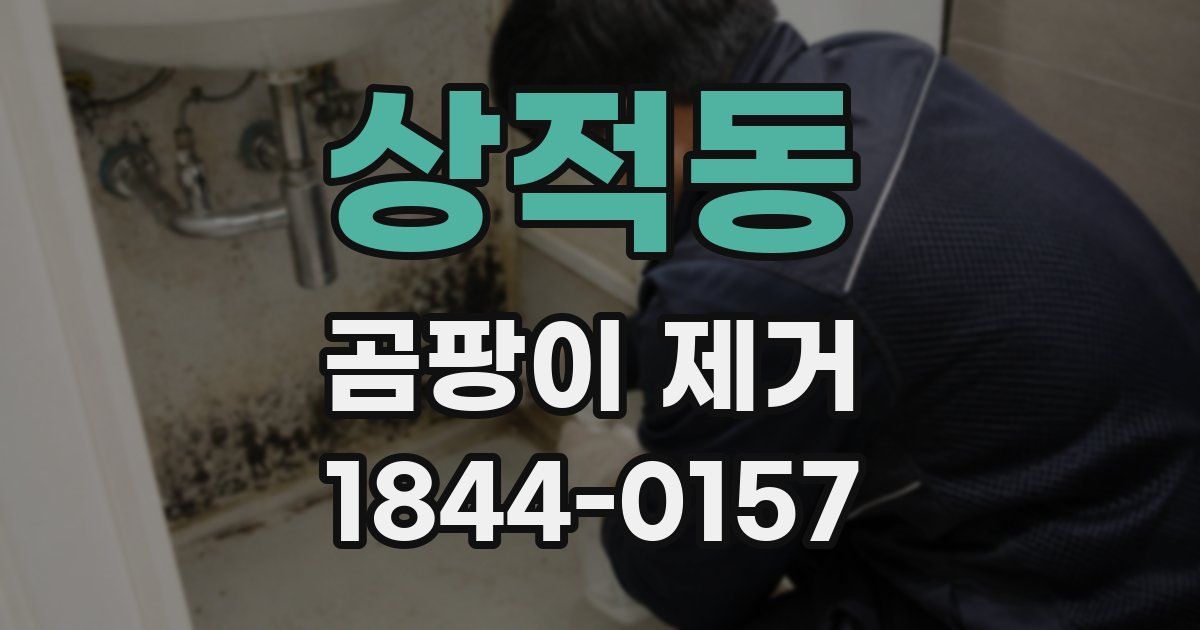 상적동 곰팡이 제거