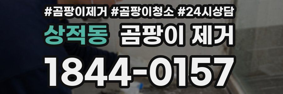 상적동 곰팡이 제거