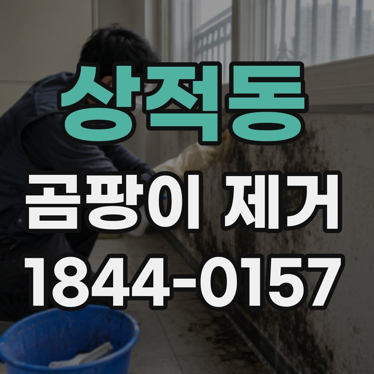 상적동 곰팡이 제거
