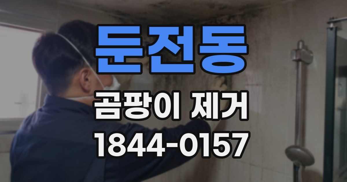 둔전동 곰팡이 제거