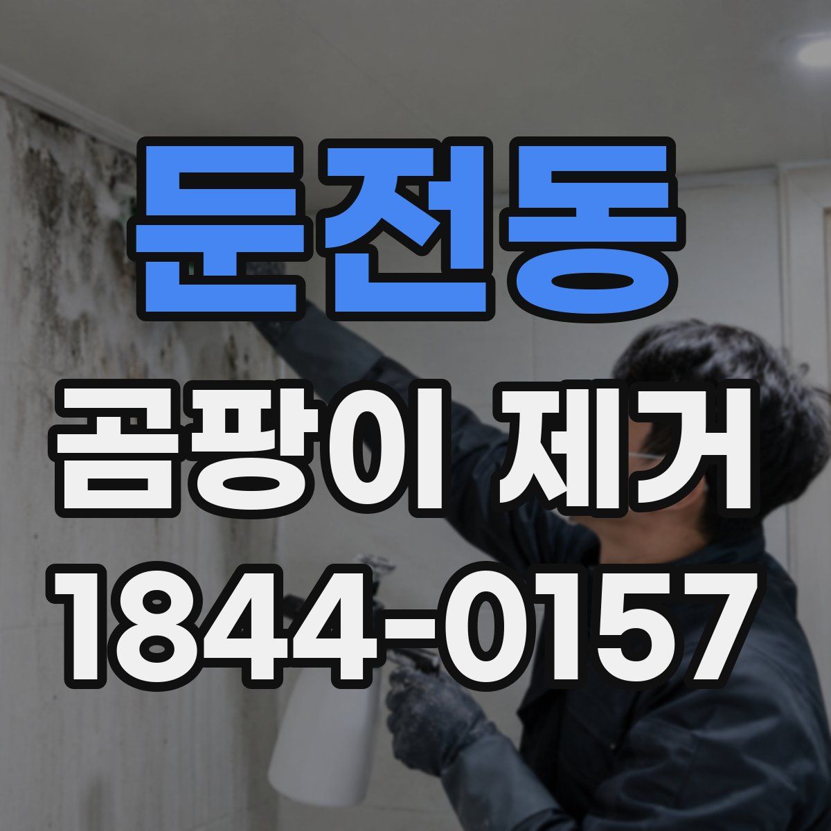 둔전동 곰팡이 제거