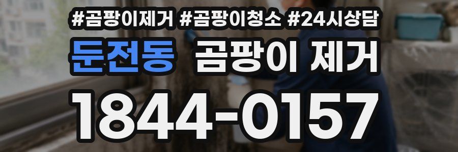 둔전동 곰팡이 제거
