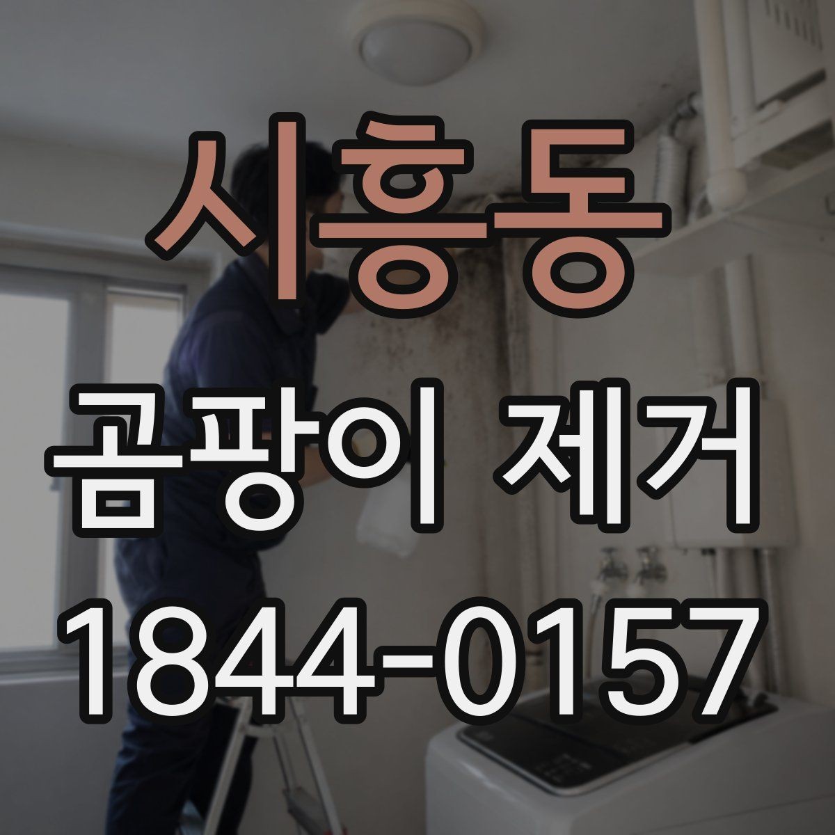 시흥동 곰팡이 제거 환기 구조를 먼저 점검하는 이유