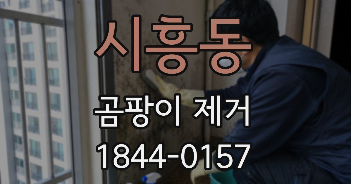 시흥동 곰팡이 제거