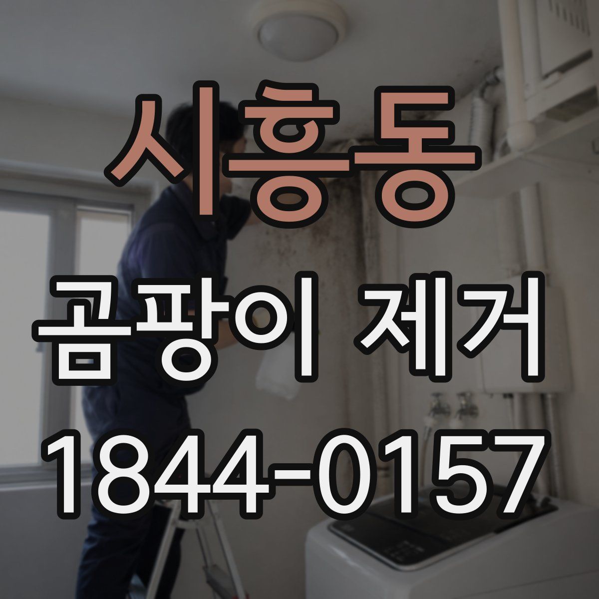 시흥동 곰팡이 제거