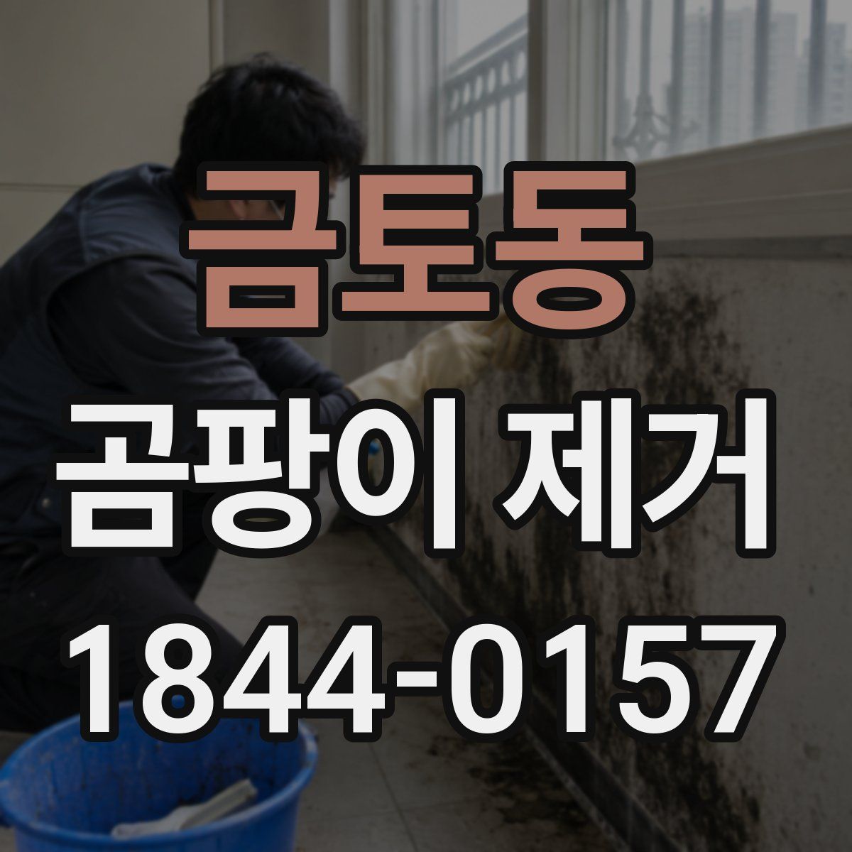 금토동 곰팡이 제거