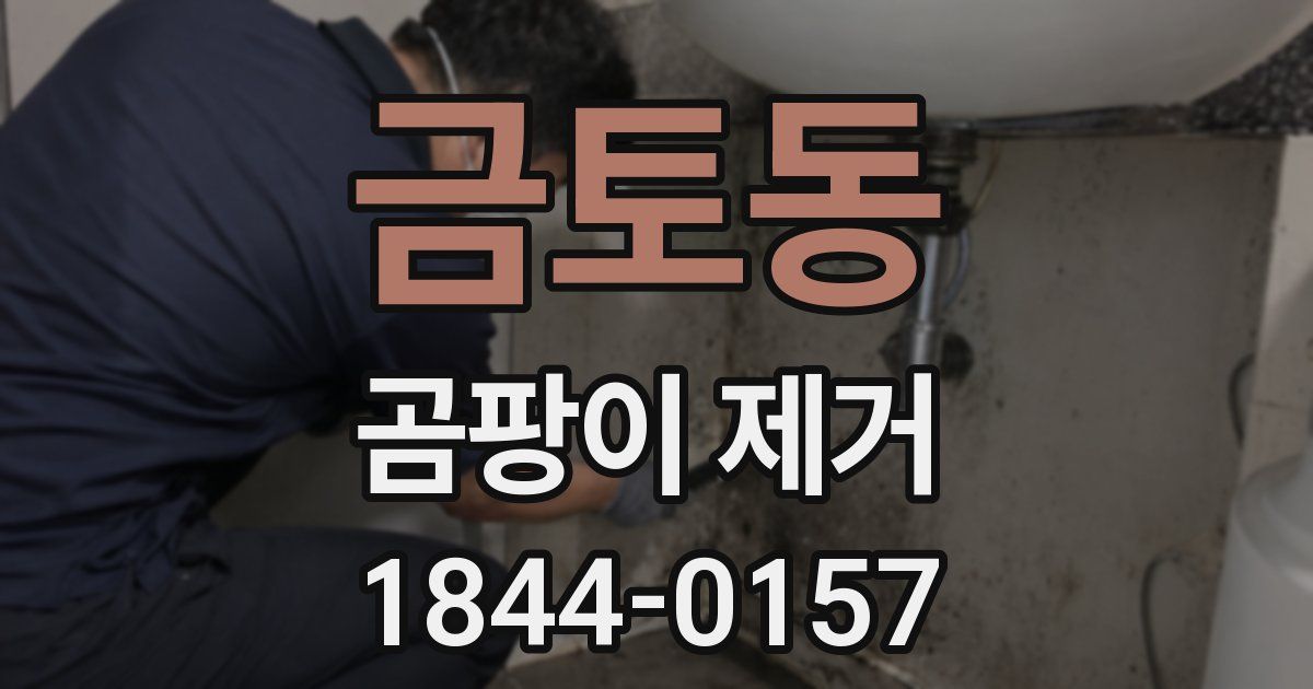 금토동 곰팡이 제거