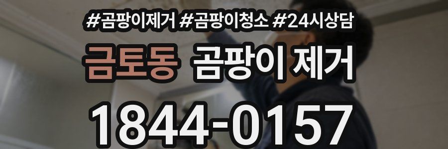 금토동 곰팡이 제거