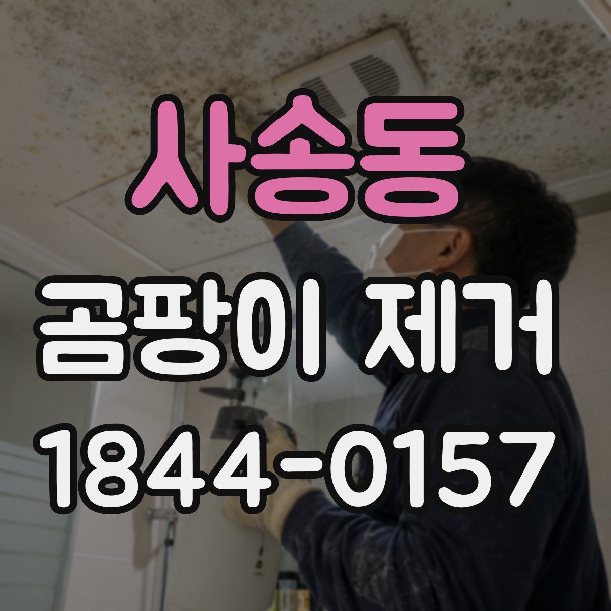 사송동 곰팡이 제거