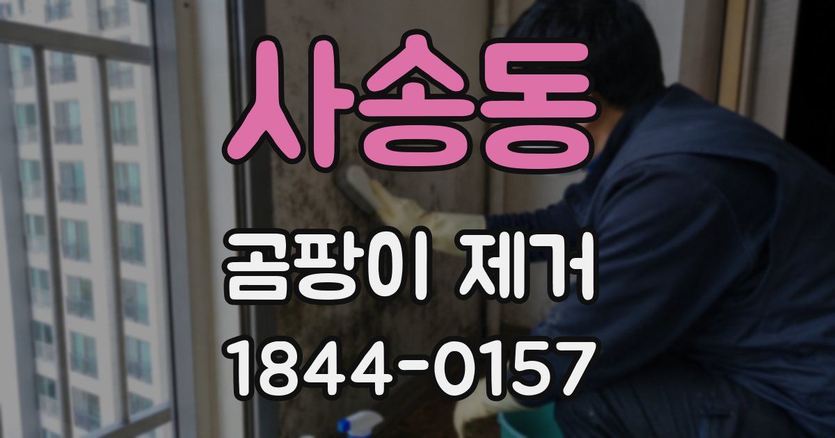 사송동 곰팡이 제거